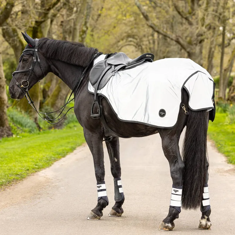 LeMieux Reflective Exercise Sheet - Navy