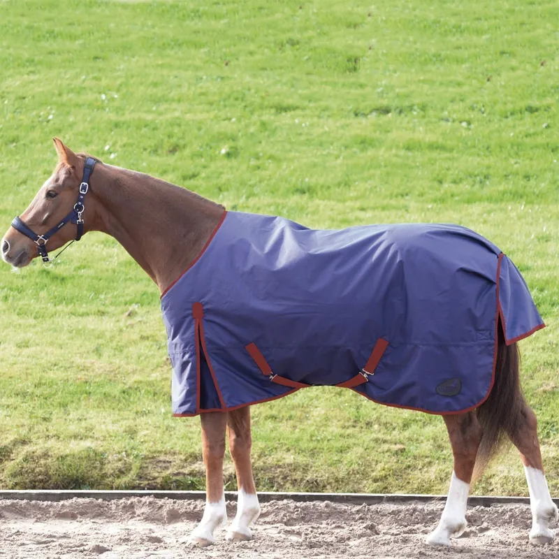 Masta Basic 200g Standard Neck Turnout Rug - Navy/Red