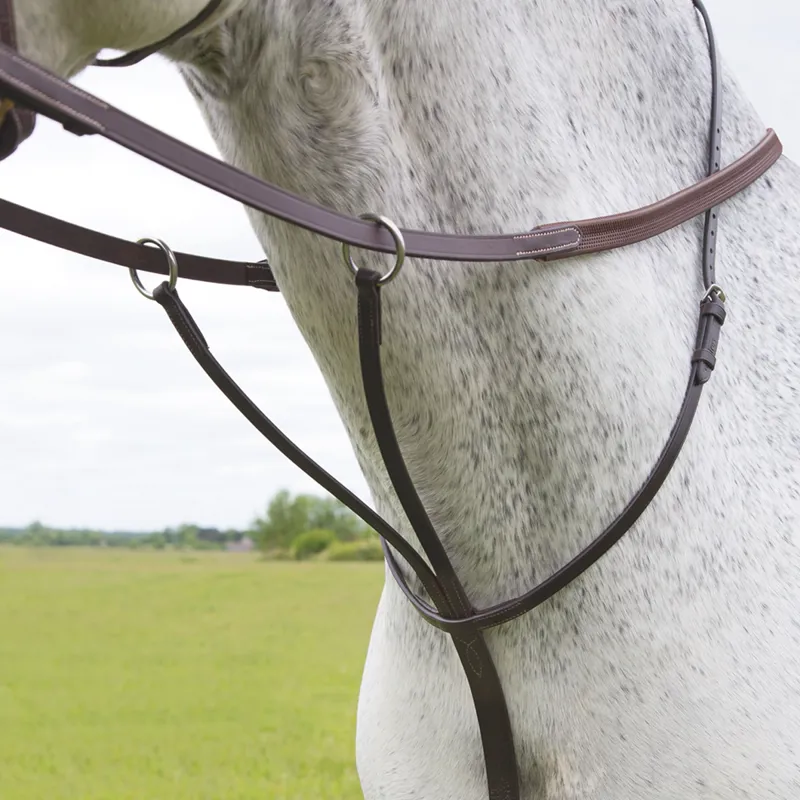 Velociti Running Martingale - Havana