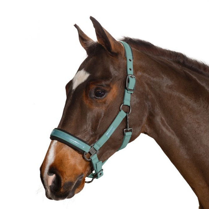 Eskadron Headcollar Doublepin Softshell CS SS21 - Balsam Green-1