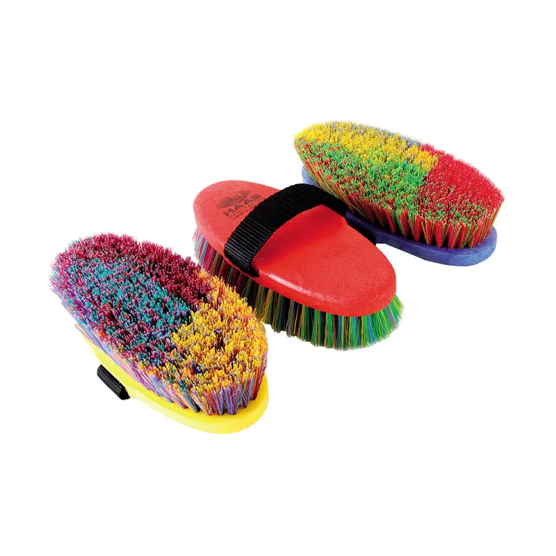 Haas Ladies Brush - Assorted