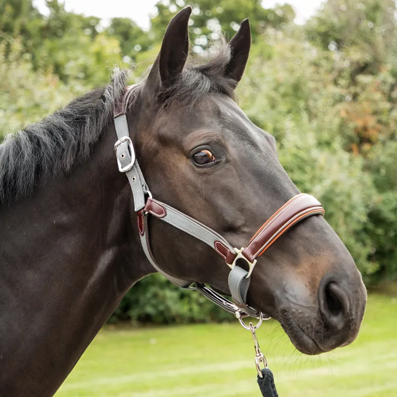 KM Elite Leather Webbing Headcollar - Havana/Grey