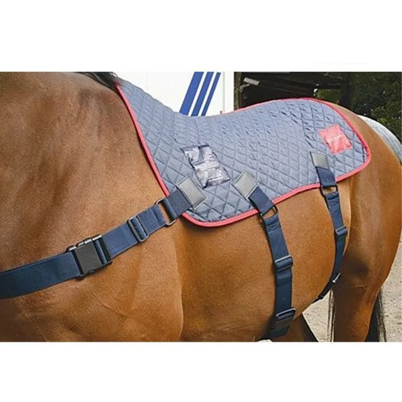 Equilibrium Magnetic Back Pad