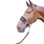 Hy Equestrian Faux Fur Padded Headcollar with Leadrope - Black