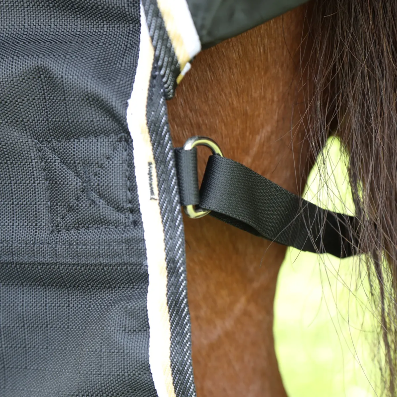 Shires Highlander Plus 200 Turnout Rug - Black-6