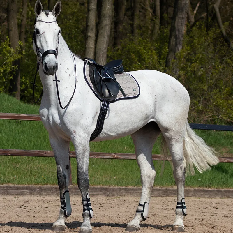 QHP Saddlepad Eldoardo - Biscuit-1