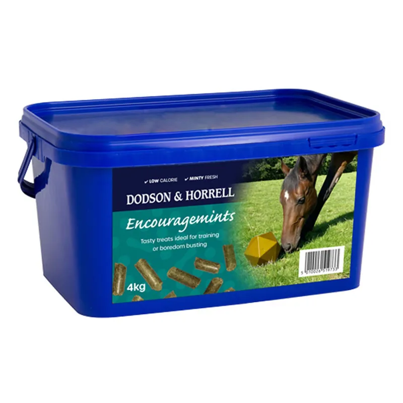 Dodson and Horrell Encouragemints - 4kg