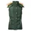 Coldstream Leitholm Quilted Gilet - Fern Green
