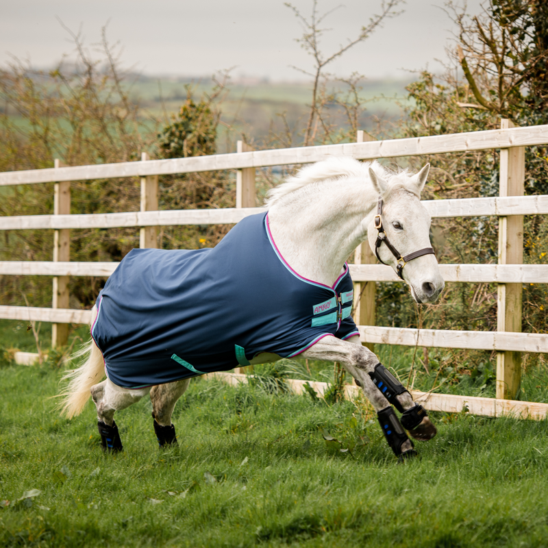 Horseware Amigo Hero 900 Pony Med 200g Turnout - Dark Blue/Capri/Raspberry-1