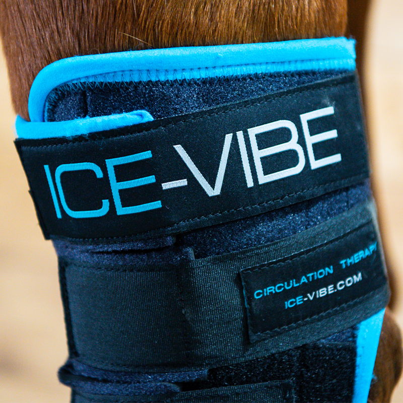 Horseware Ice Vibe Hock Wrap - Black/Aqua-2