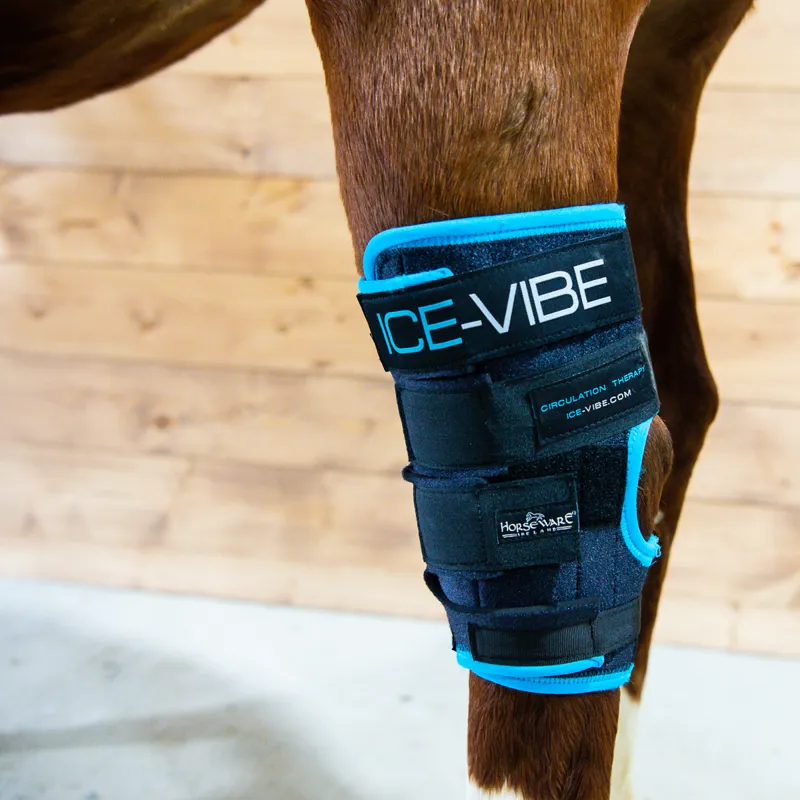 Horseware Ice Vibe Hock Wrap - Black/Aqua