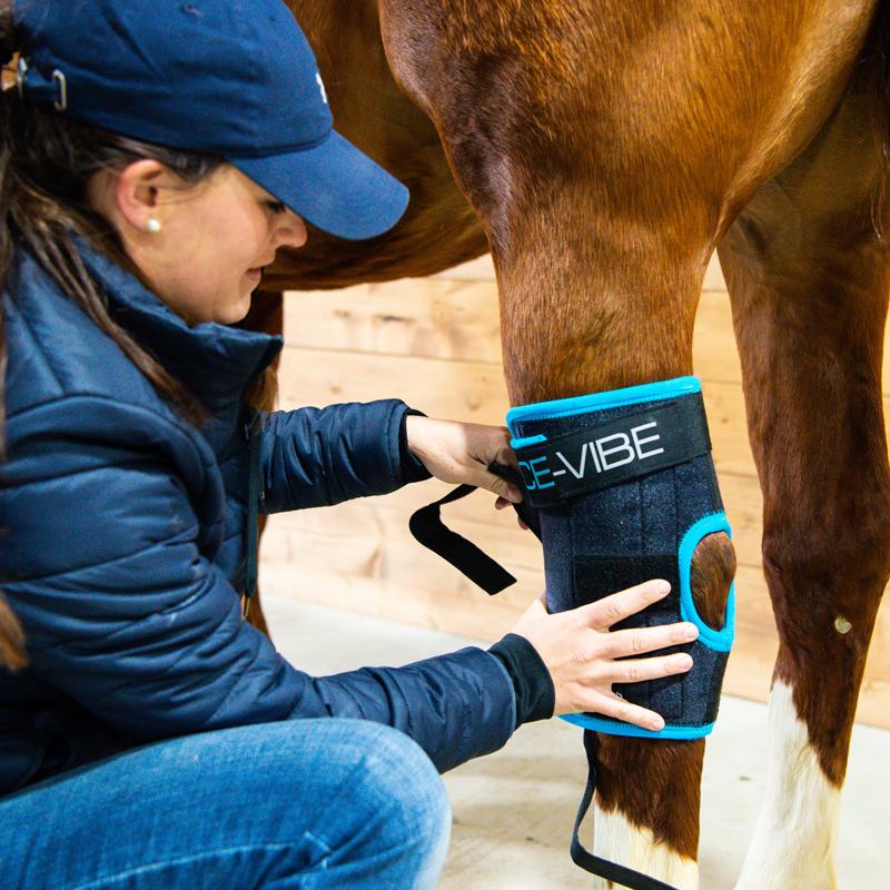 Horseware Ice Vibe Hock Wrap - Black/Aqua-1