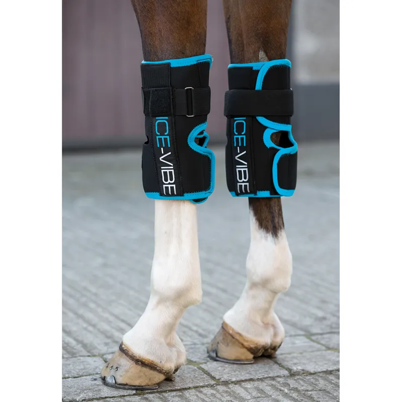 Horseware Ice Vibe Knee Wrap - Black/Aqua