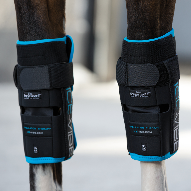 Horseware Ice Vibe Knee Wrap - Black/Aqua-1