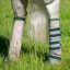 Horseware Rambo Airmesh Fly Boots Non Vamo - Oatmeal/Sage
