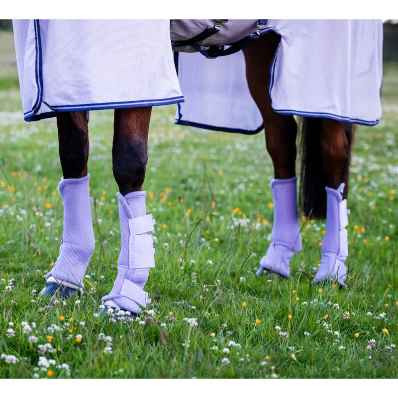 Horseware Amigo Fly Boots - Lavender