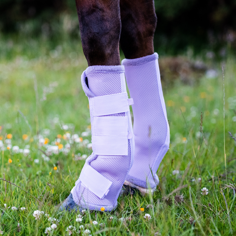 Horseware Amigo Fly Boots - Lavender-1