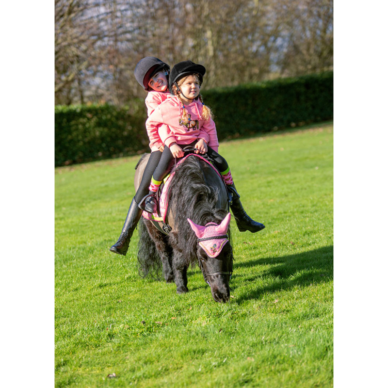 Hy Equestrian Thelwell Collection Hugs Fly Veil - Pink/Lime/Hot Pink-1