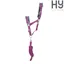 Hy Sport Active Head Collar and Lead Rope - Port Royal