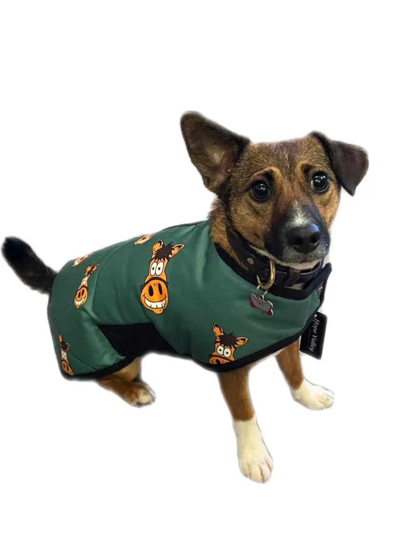 Hope Valley Dog Rug Coat - Limited Edition-2