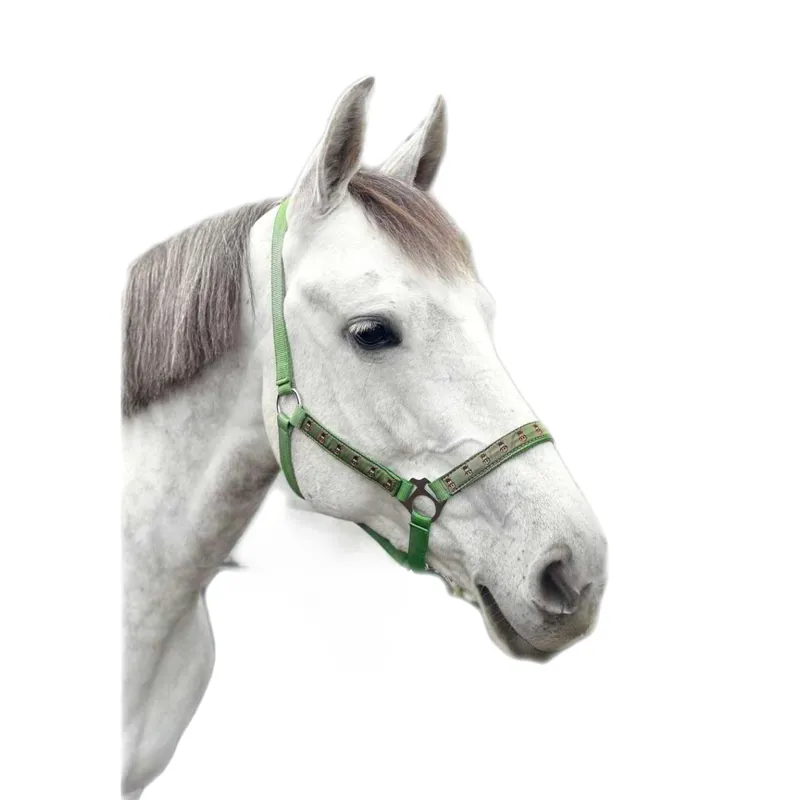 Hope Valley Headcollar - Limited Edition