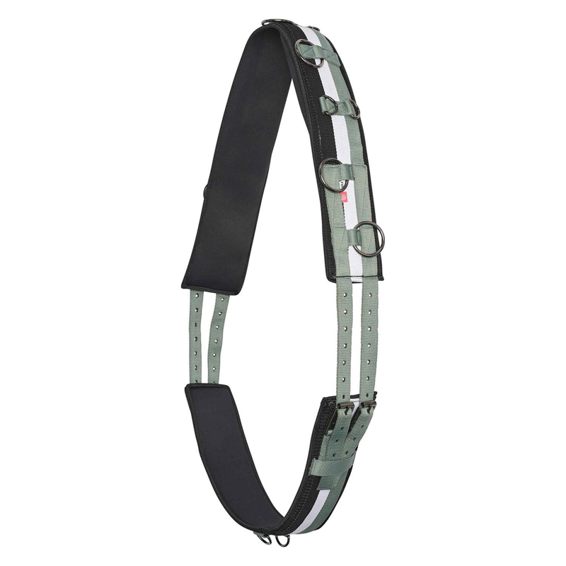 Imperial Riding Deluxe Lunging Girth - Sage Green