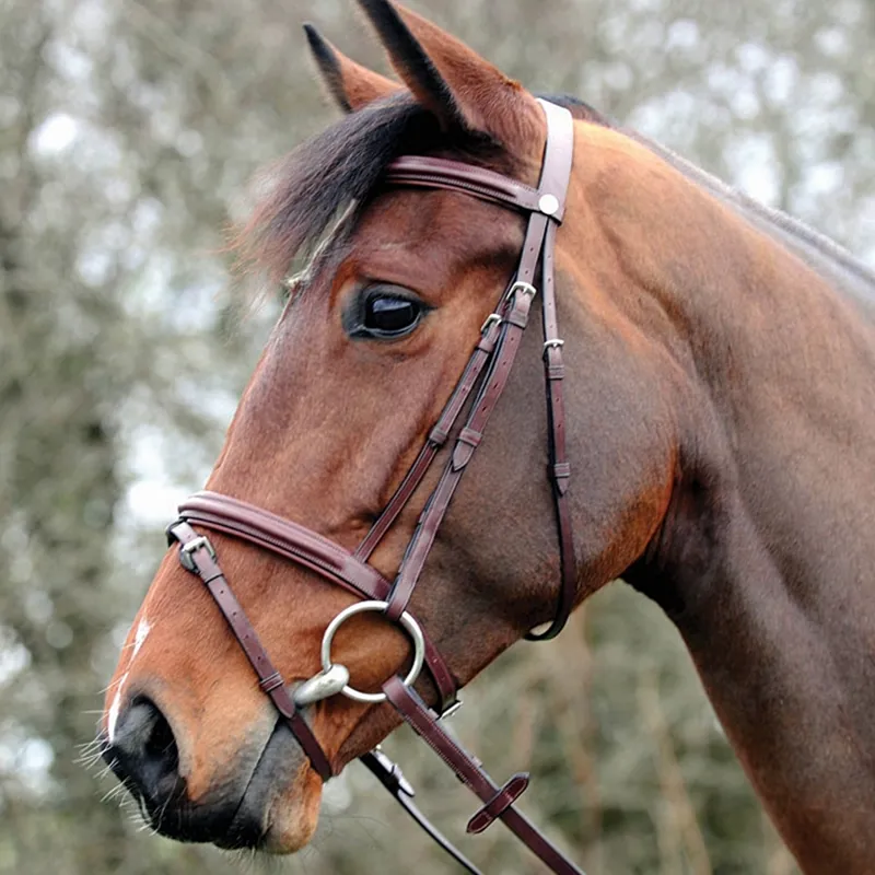 John Whitaker Flash Bridle With Rubber Grip Reins - Brown