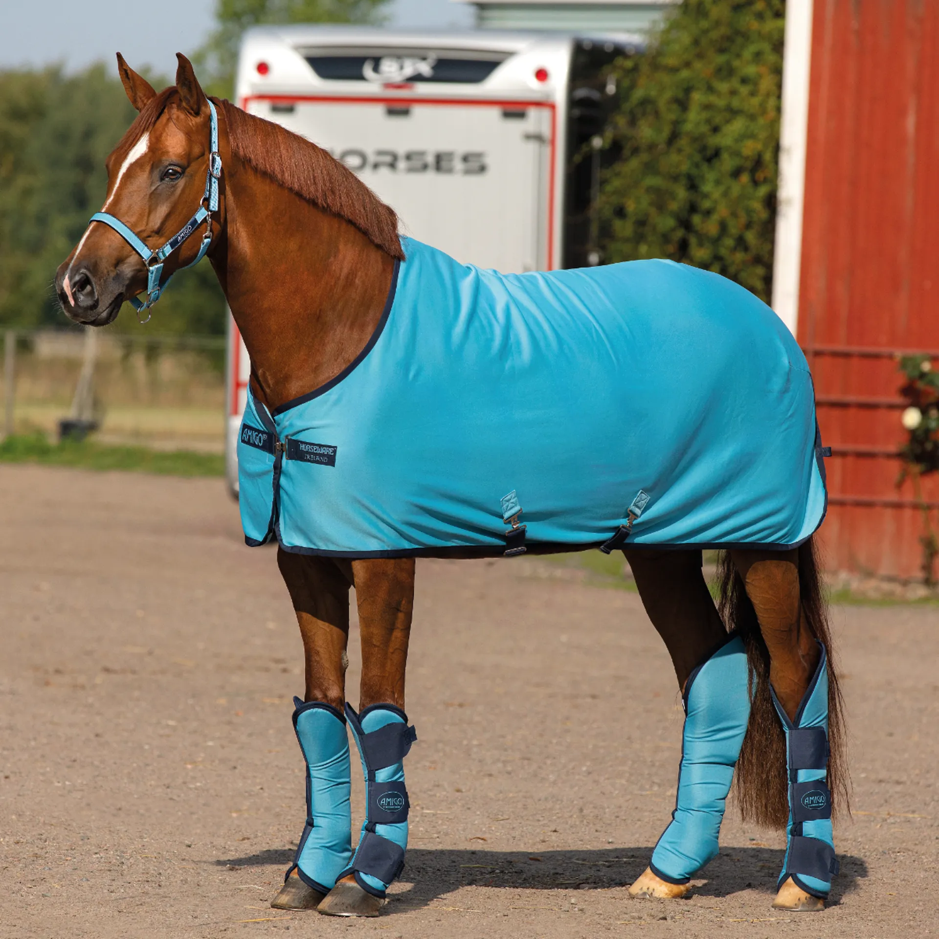 Glacière (couverture) En Jersey Horseware Amigo Pour Cheval - Taille à Vérifier - Neuf