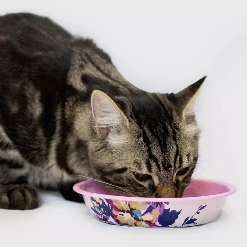 Joules Cambridge Floral Cat Bowl