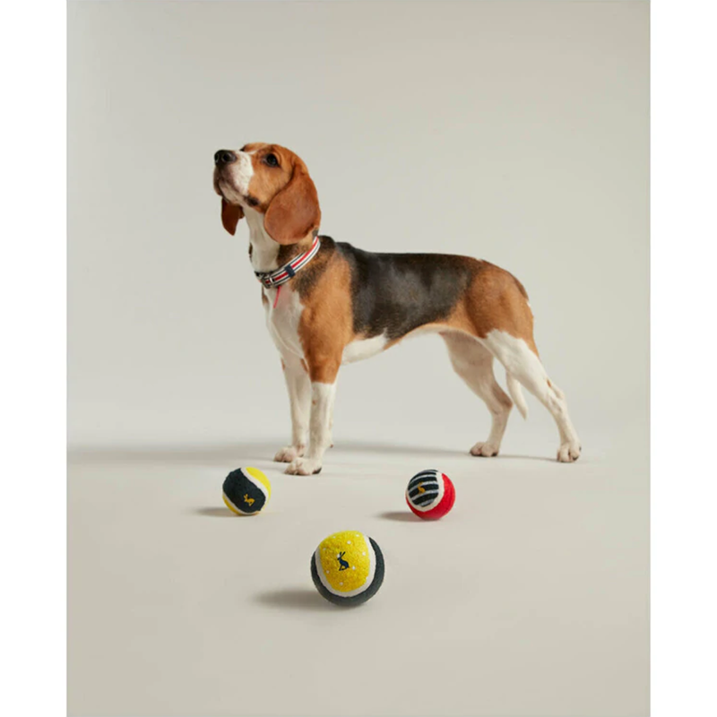 Joules 3 Pack Outdoor Tennis Balls -3
