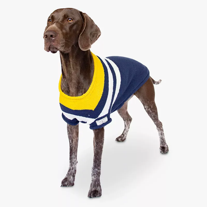 Joules Coastal Jumper