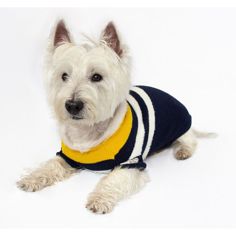 Joules Coastal Jumper-3