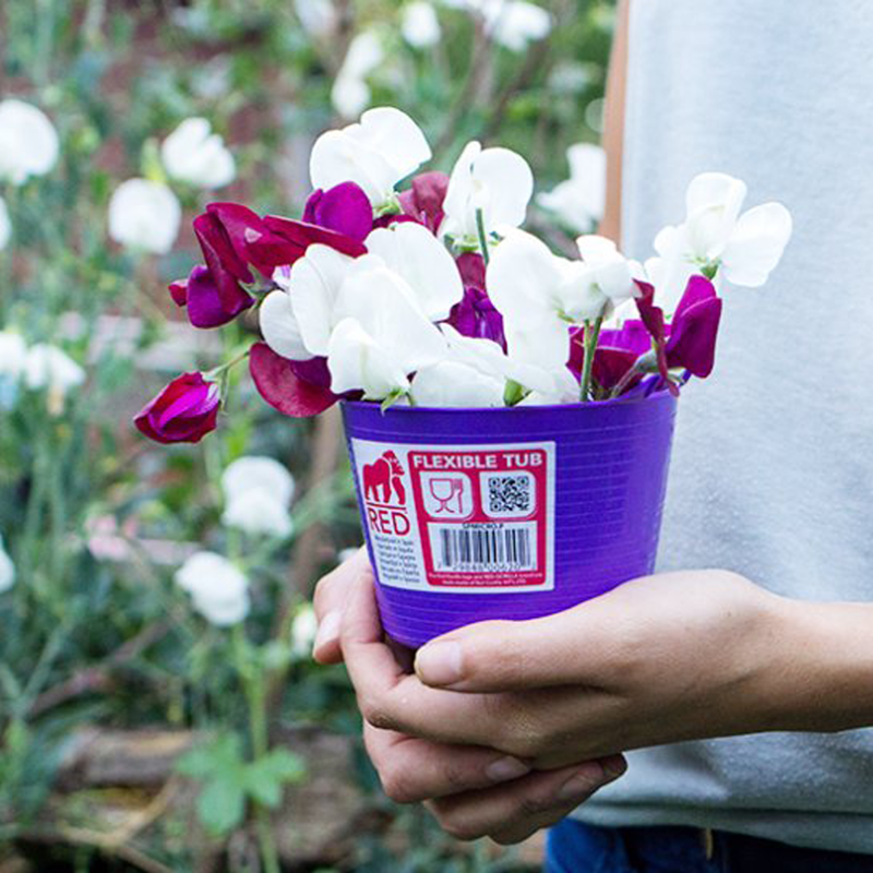 Red Gorilla Micro Gorilla Tub-3