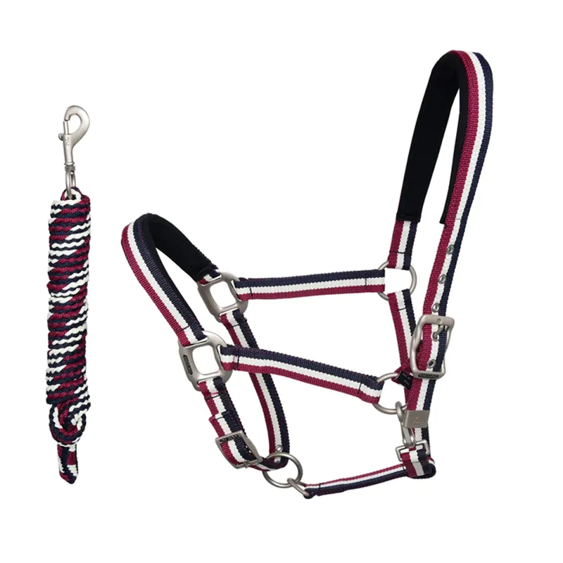Kingsland Classic Headcollar with Rope - Multi