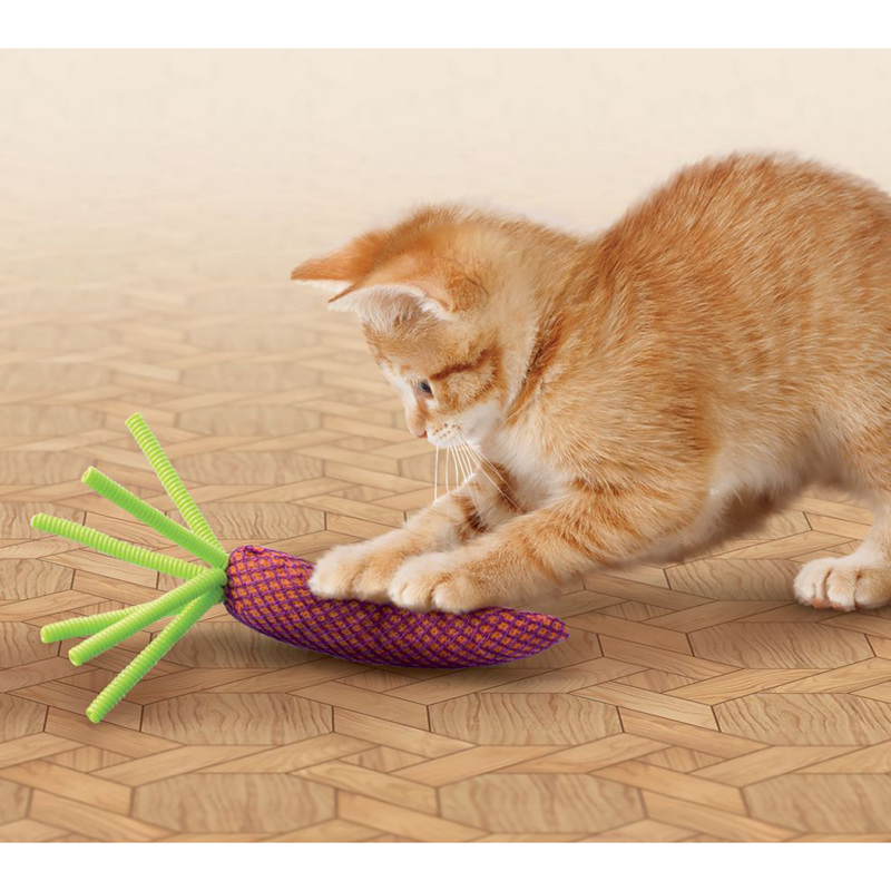 KONG Nibble Carrot - Assorted Colours-1