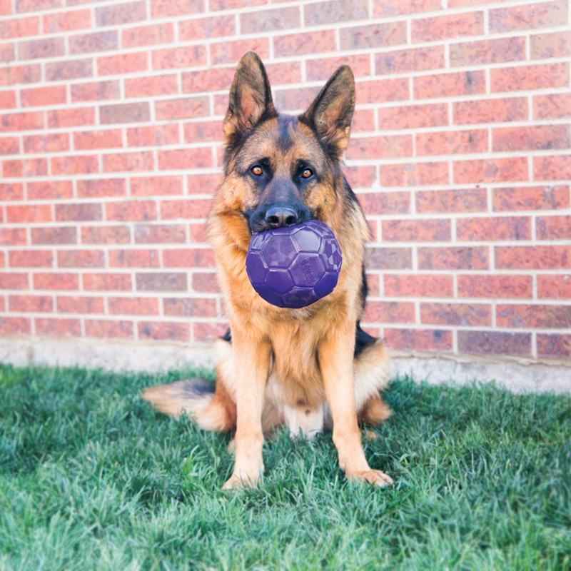 KONG Flexball Dog Toy Medium/Large - Purple-1