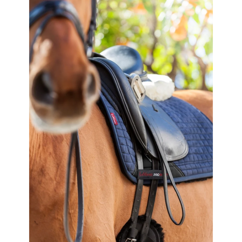 LeMieux Sensitive Dressage Square - Navy-1