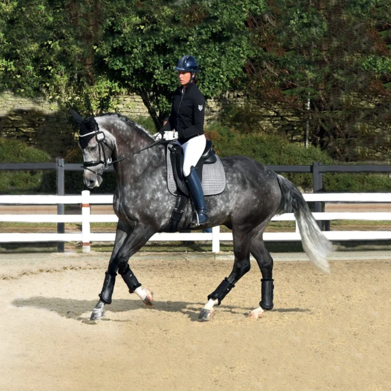LeMieux Sensitive Dressage Square - Grey-2