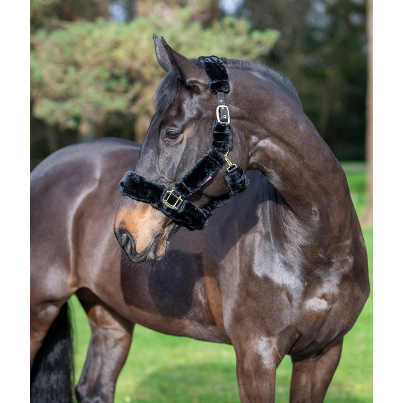 LeMieux Comfort Plus Travel Headcollar - Black/Black-1