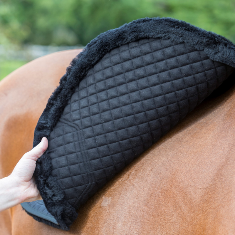 LeMieux Sensitive EuroJump Square - Black-1
