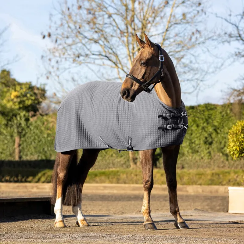 LeMieux Arika Clima-Tek Rug - Grey