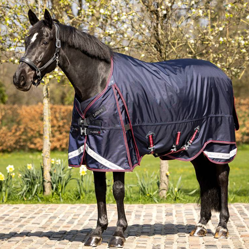 LeMieux Kudos Thermo Layer Turnout Rug 100g - Navy-1