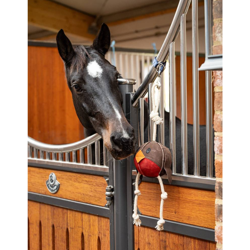 LeMieux Horse Toy - Robin-3