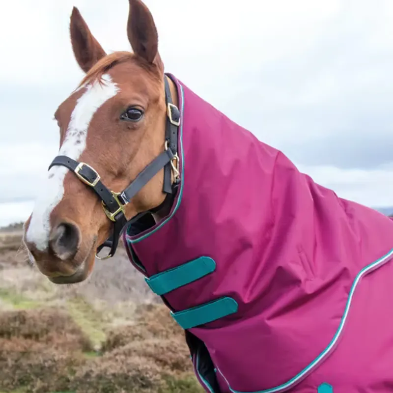 Shires Highlander Original 300 Turnout Neck Cover - Raspberry