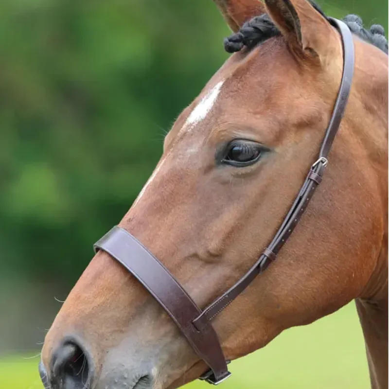 Shires Velociti Hunter Cavesson Noseband - Brown 