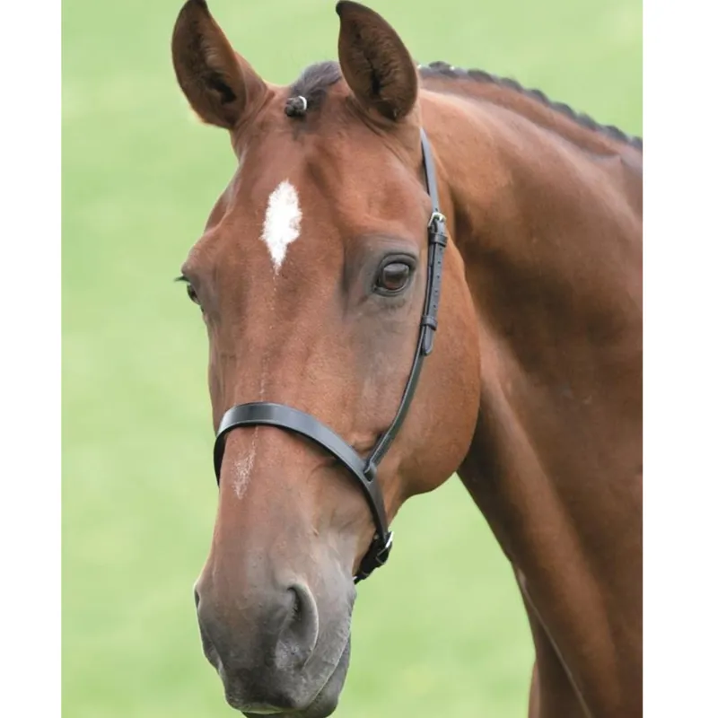 Shires Velociti Cavesson Noseband - Havana