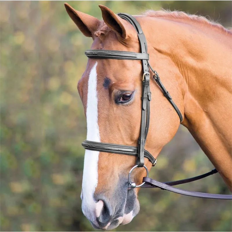 Shires Salisbury Fairford Bridle - Black 