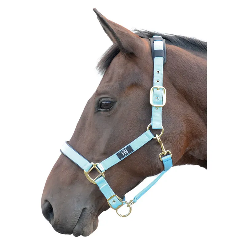 Hy Deluxe Padded Head Collar - Bright Blue
