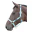 Hy Equestrian Deluxe Padded Headcollar - Bright Blue