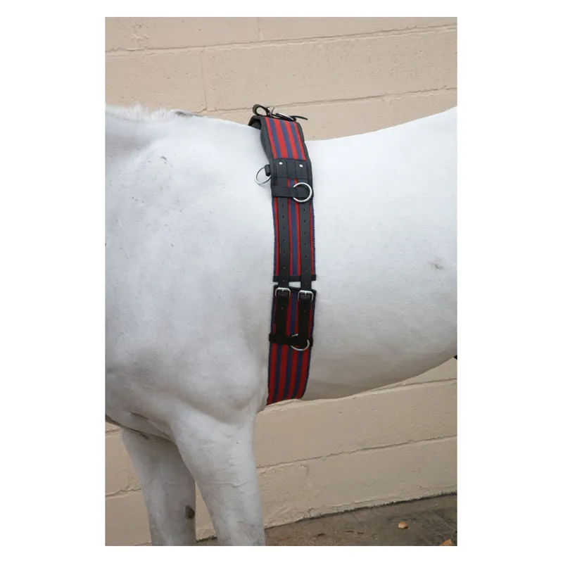 Hy Training Roller - Blue/Red